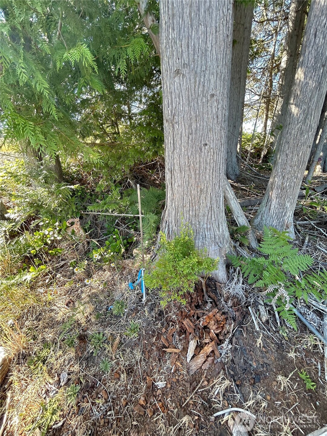0 Basie Road Property Photo 19