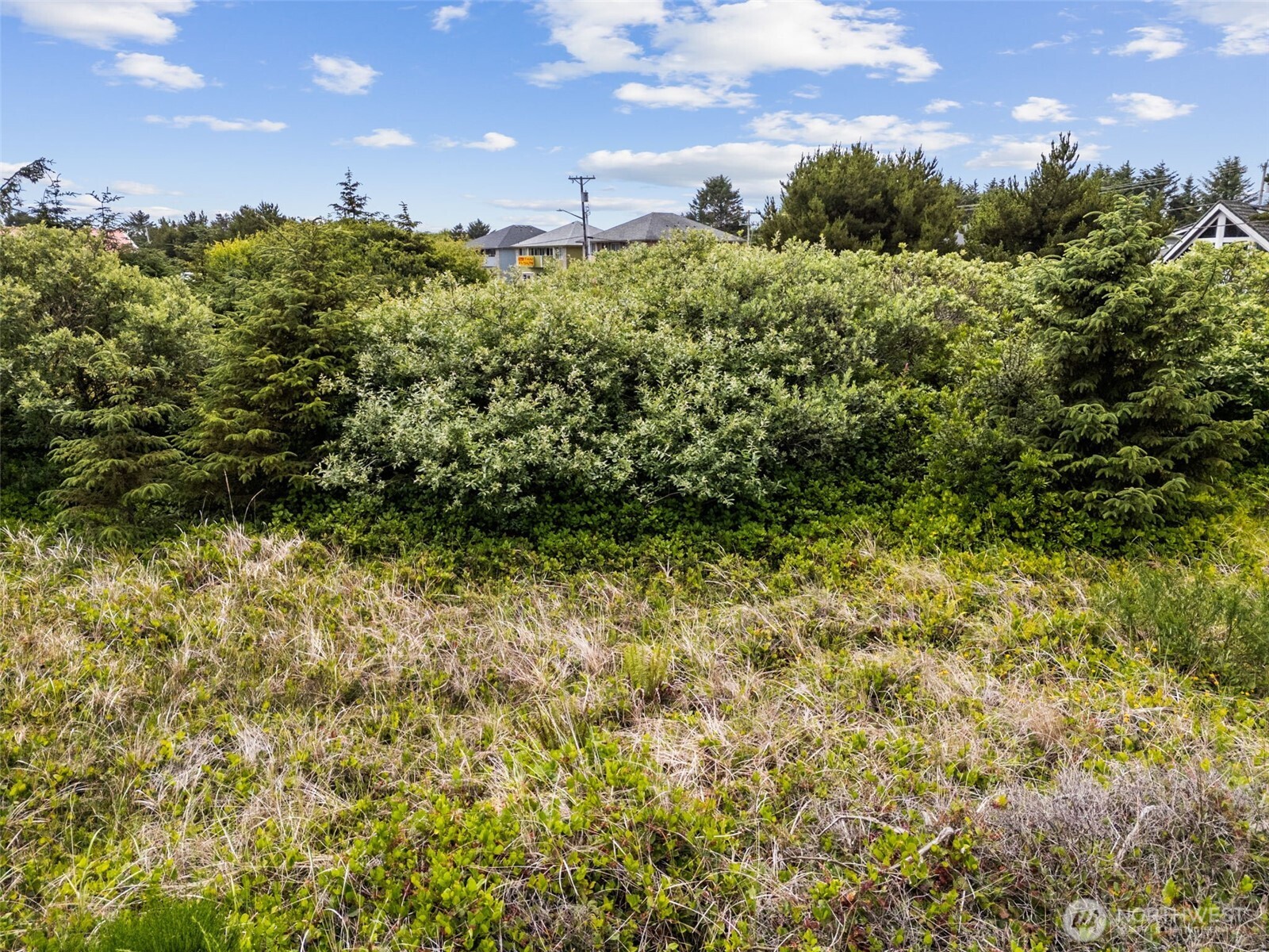 844 Point Brown Avenue Property Photo 10