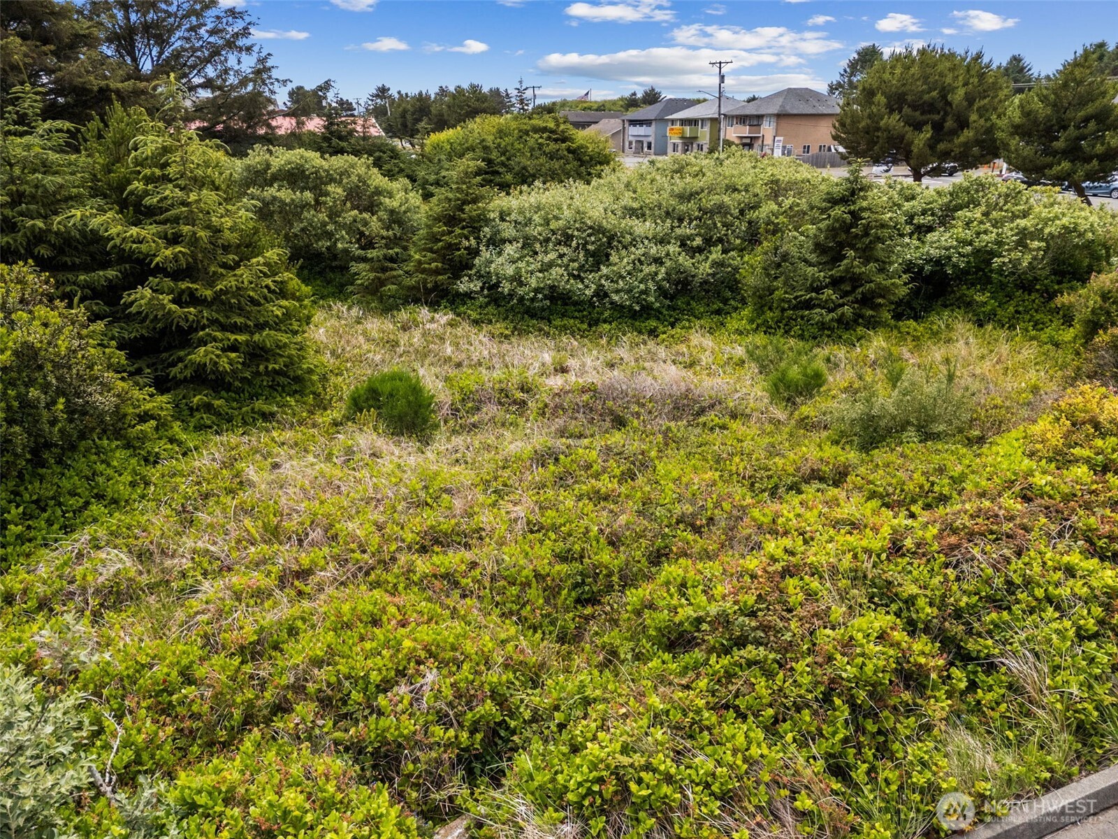 844 Point Brown Avenue Property Photo 16