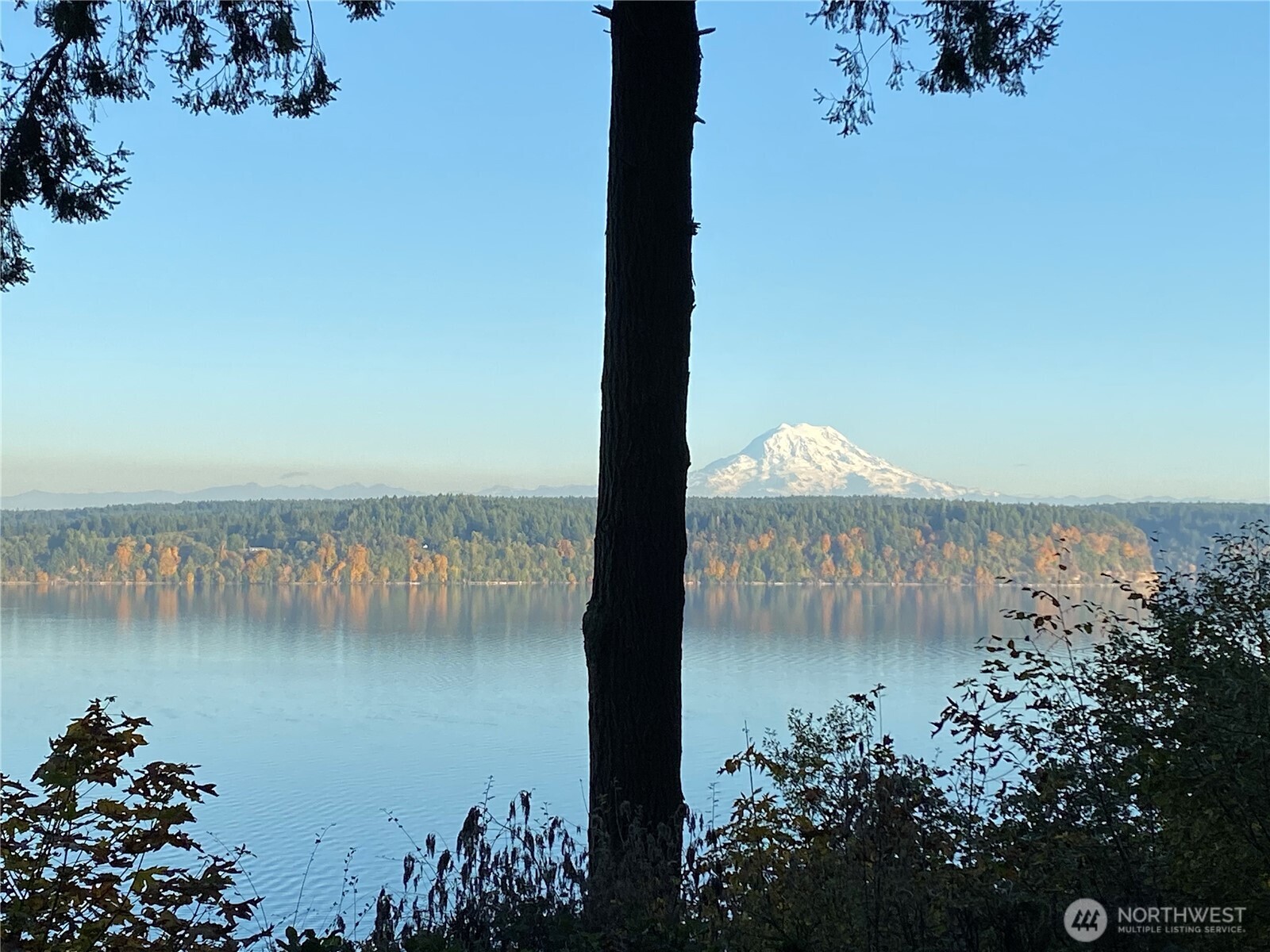 10125 Totem Way Property Photo 40