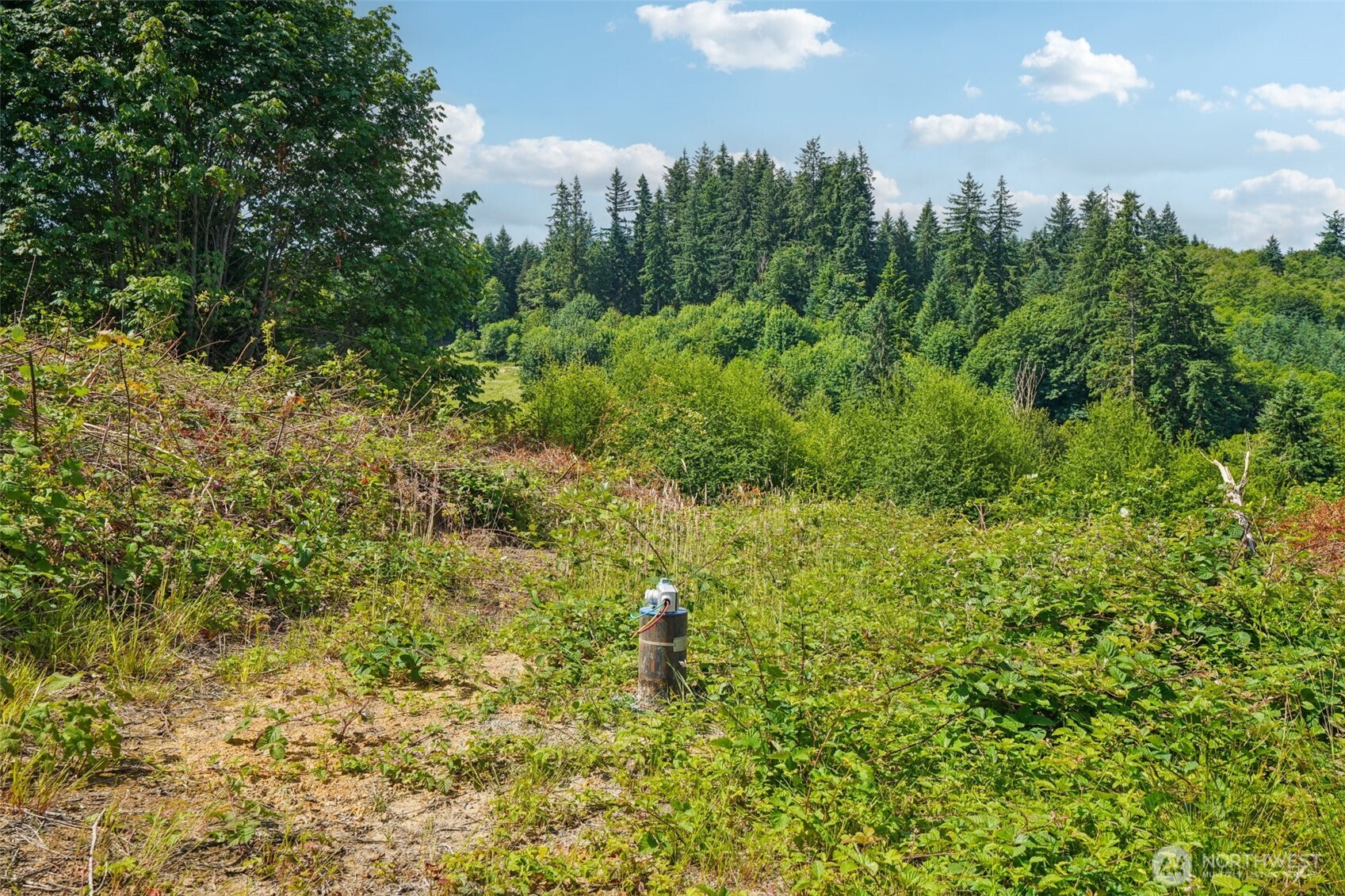 1830 Hazel Dell Road Lot 1 Property Photo 4