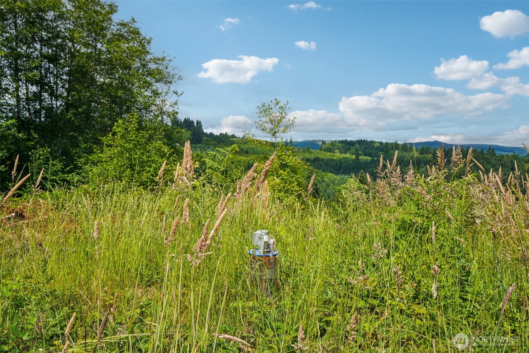 1830 Hazel Dell Road Lot 4 Property Photo 6