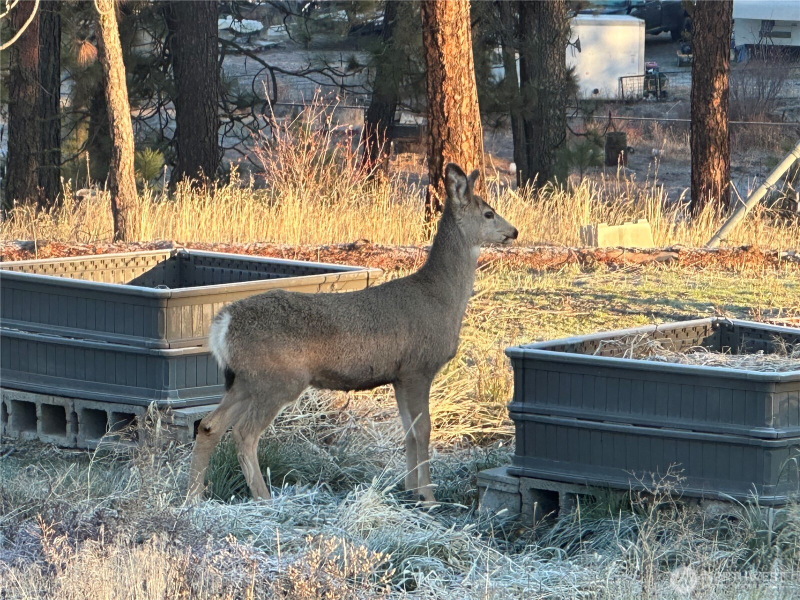 2207 W Depot Springs Road Property Photo 27