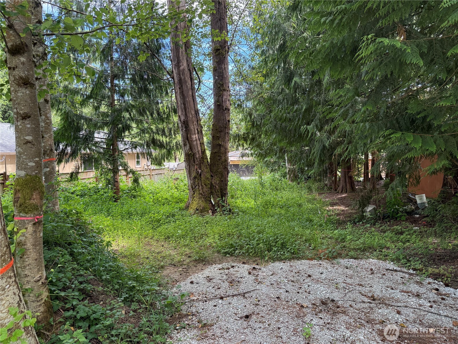 688 Rainbow Drive Property Photo 3