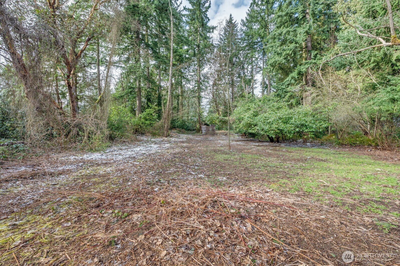 13020 1st Avenue Property Photo 7