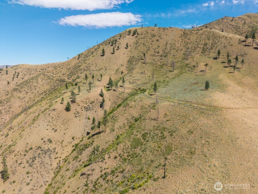1 Lot Mills Canyon Road Property Photo 4