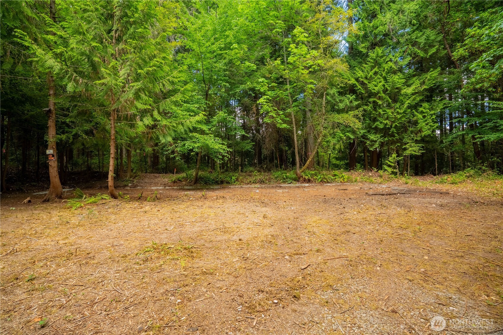 1 Xxxx 1st Street Property Photo 6