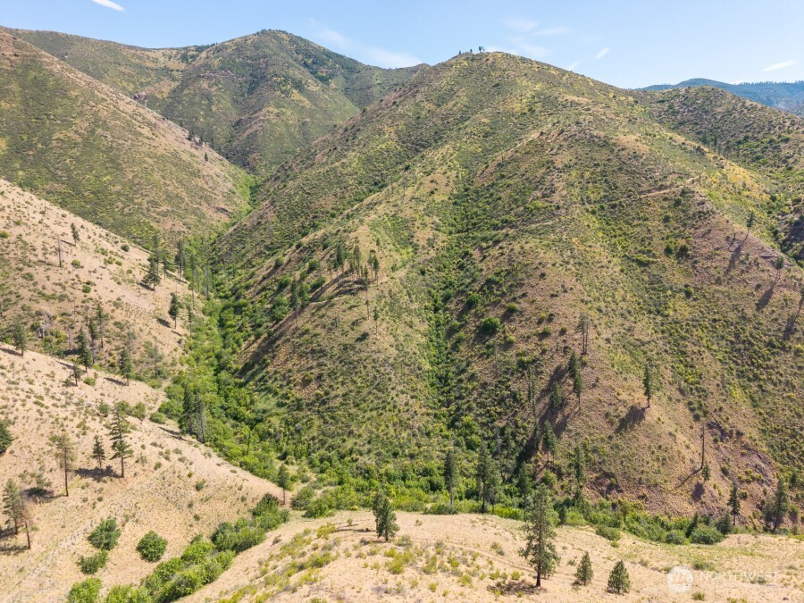4 Lot Mills Canyon Road Property Photo 3