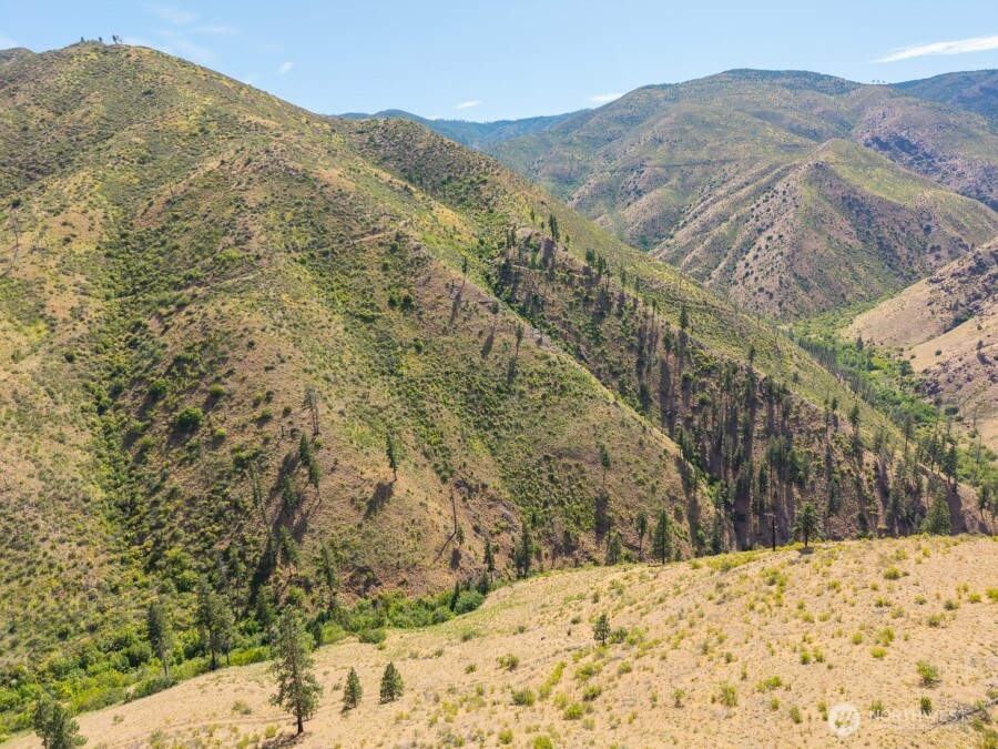 4 Lot Mills Canyon Road Property Photo 4