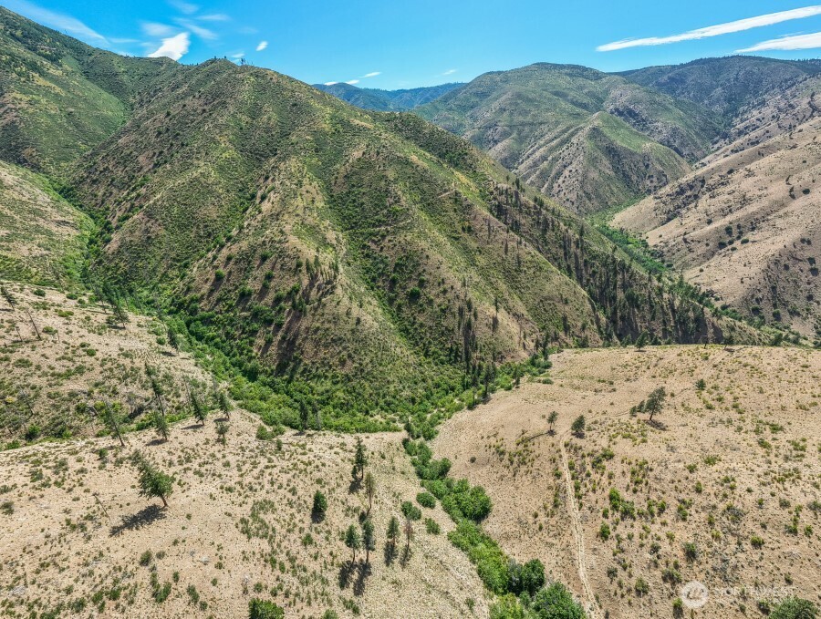 4 Lot Mills Canyon Road Property Photo 7
