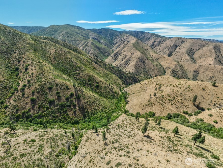4 Lot Mills Canyon Road Property Photo 8