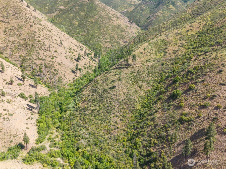4 Lot Mills Canyon Road Property Photo 9