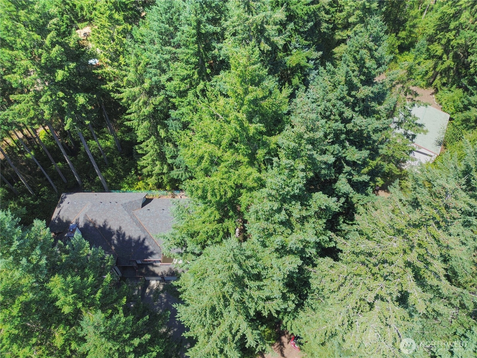 1341 Pilchuck Heights Property Photo 34