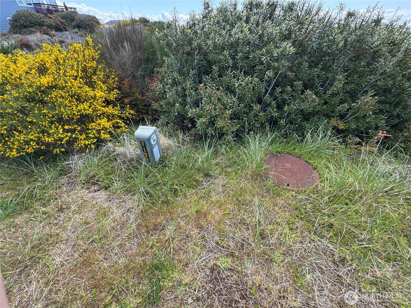 421 S Portal Loop Property Photo 6
