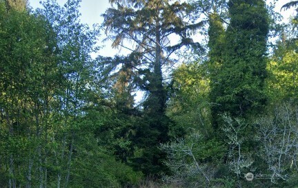 0 Cosgrove Street Property Photo 1