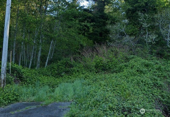 0 Cosgrove Street Property Photo 2
