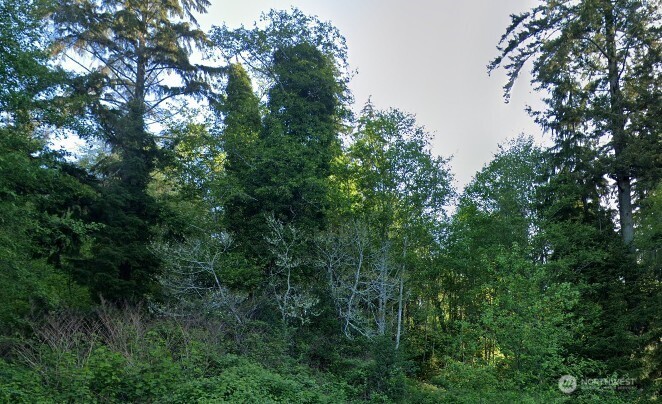 0 Cosgrove Street Property Photo 5