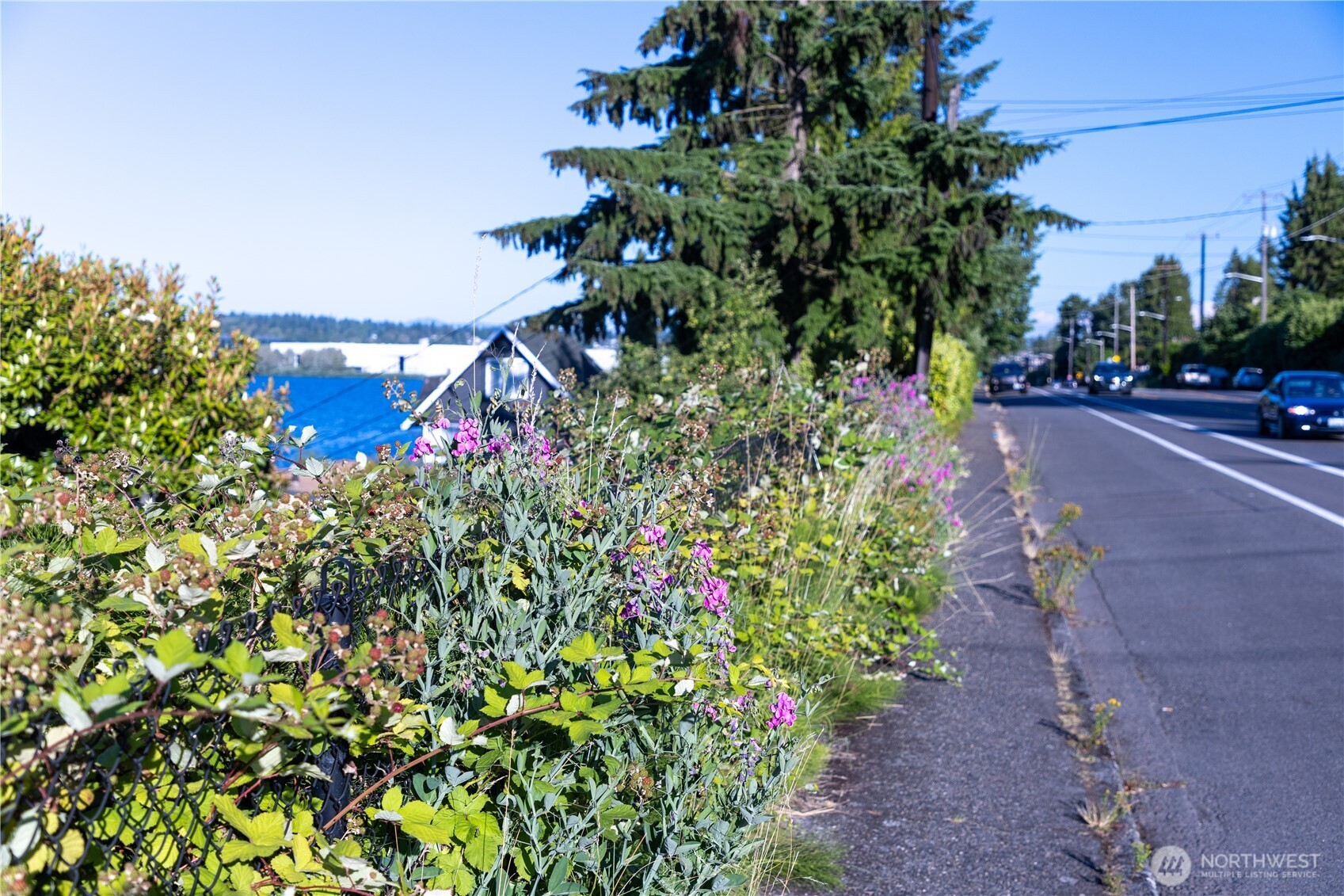 0 Rainier Avenue Property Photo 2