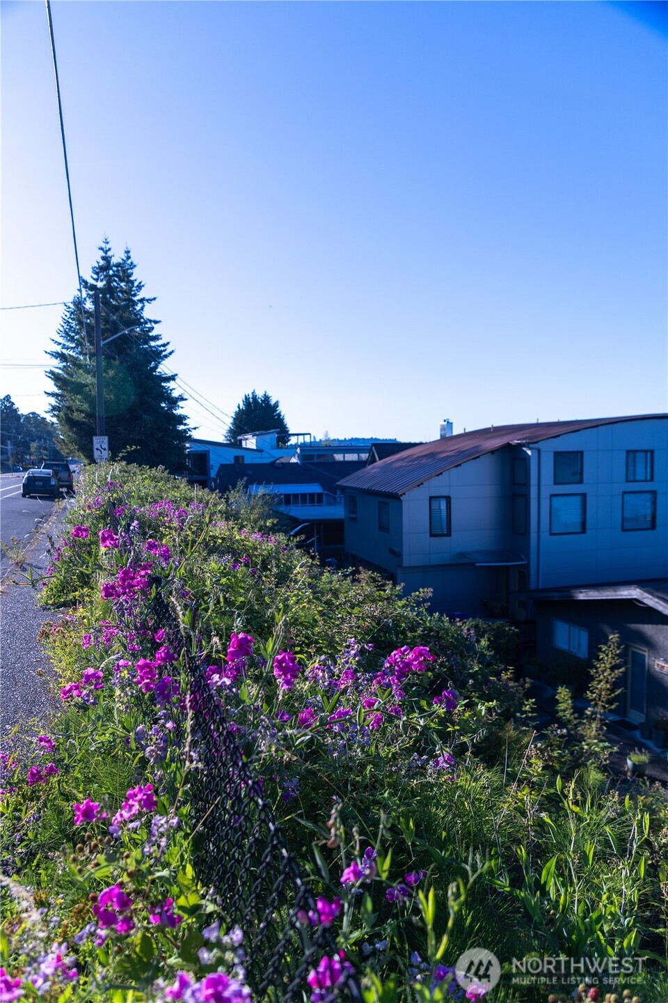 0 Rainier Avenue Property Photo 3