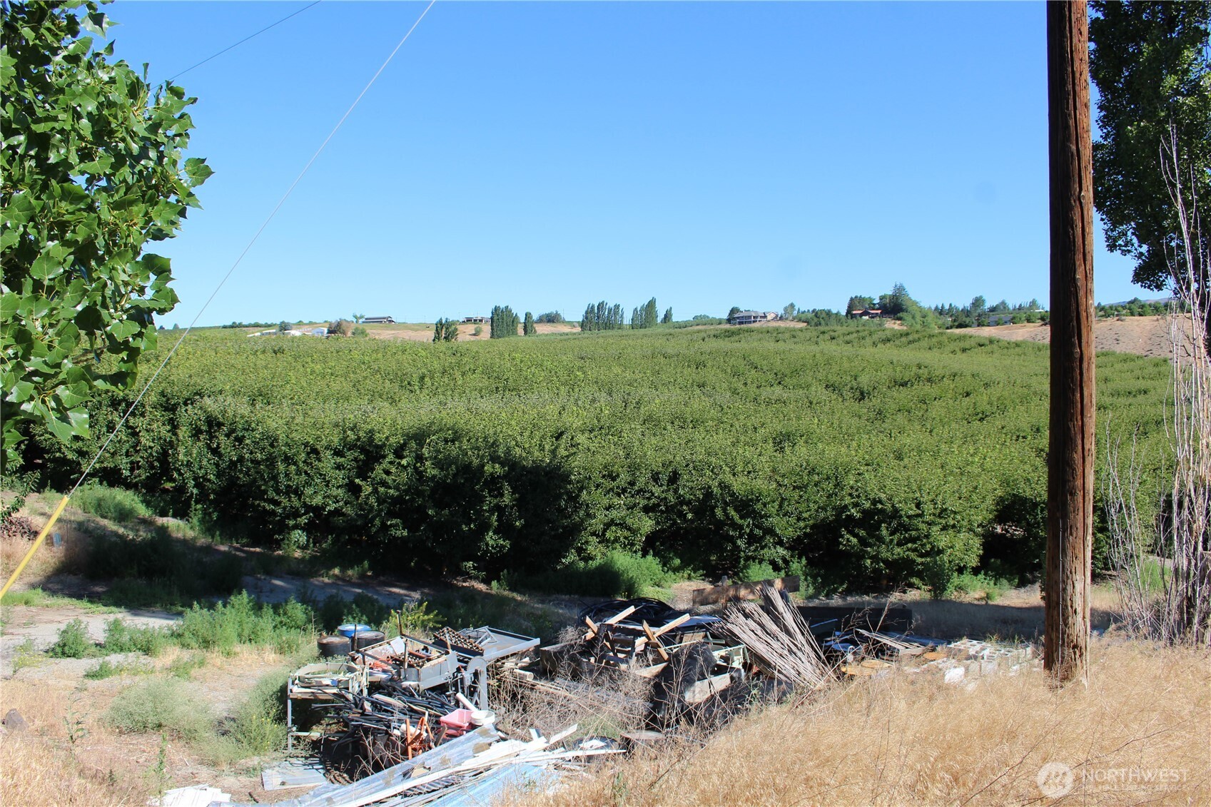 0 Leray Ranch Road Property Photo 16