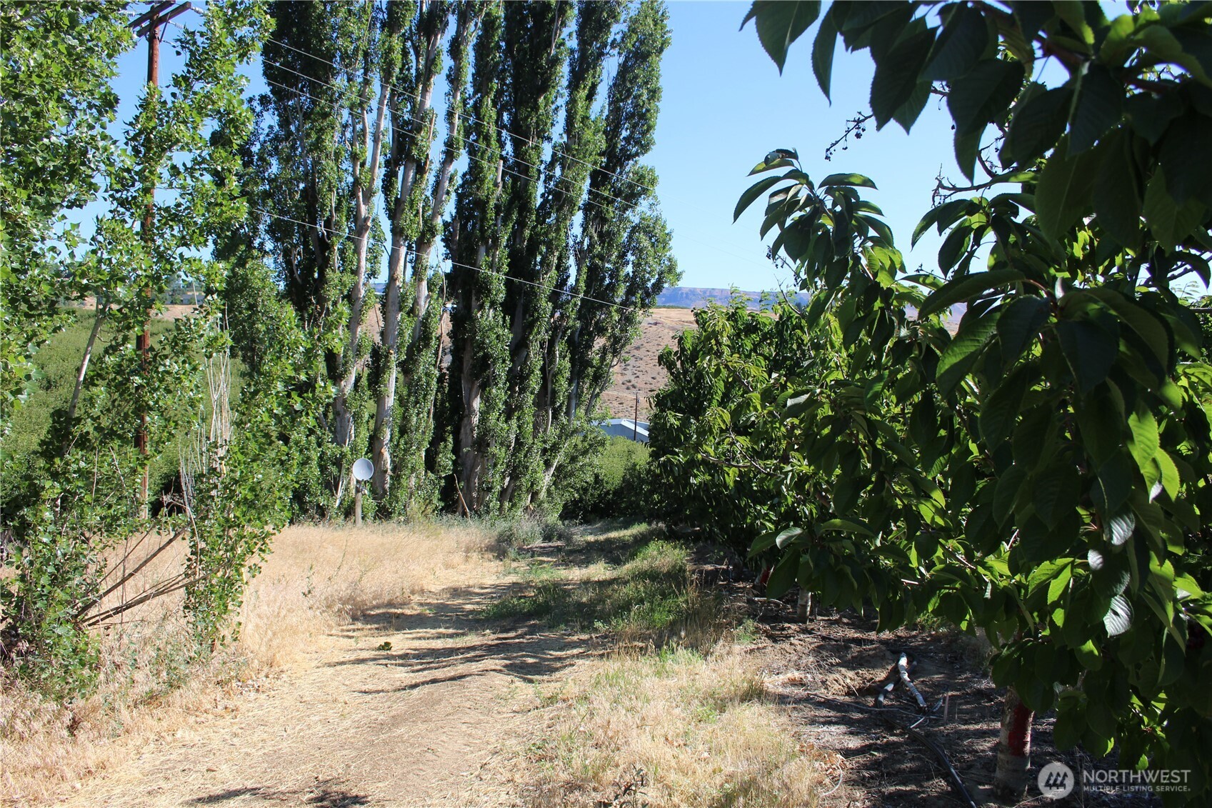 0 Leray Ranch Road Property Photo 17