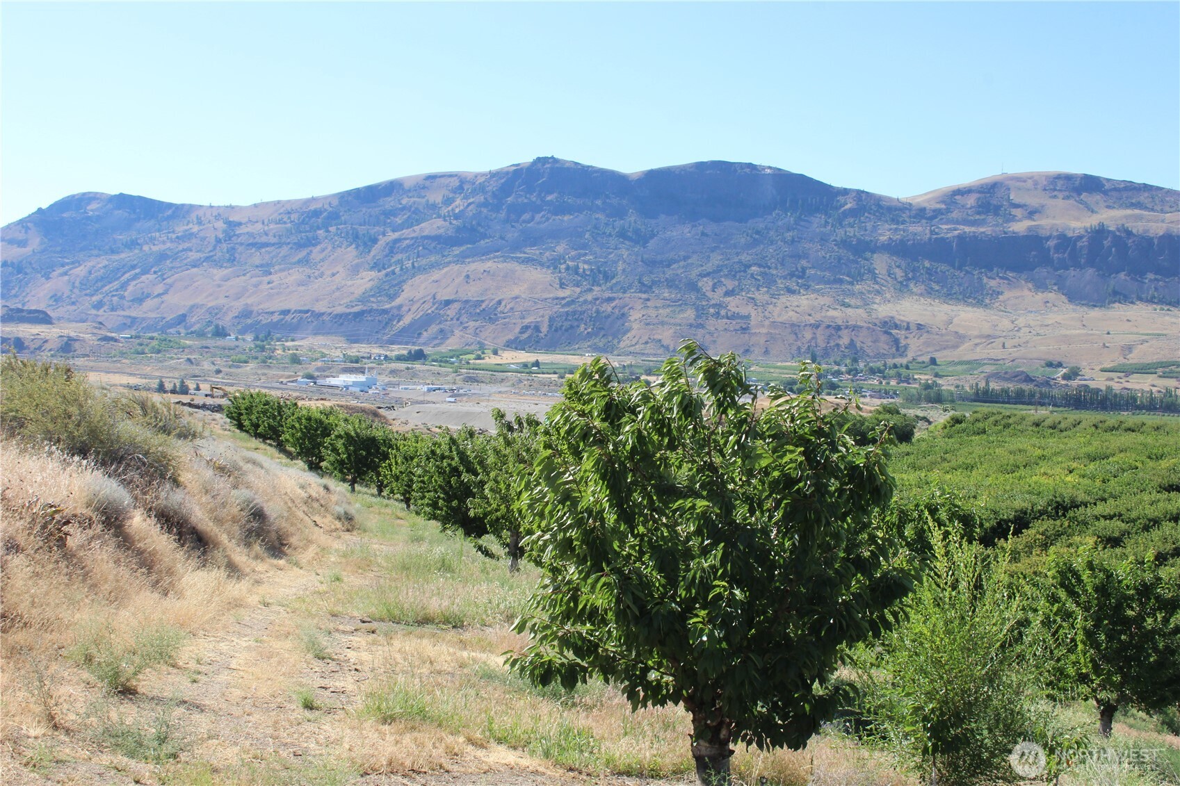 0 Leray Ranch Road Property Photo 19
