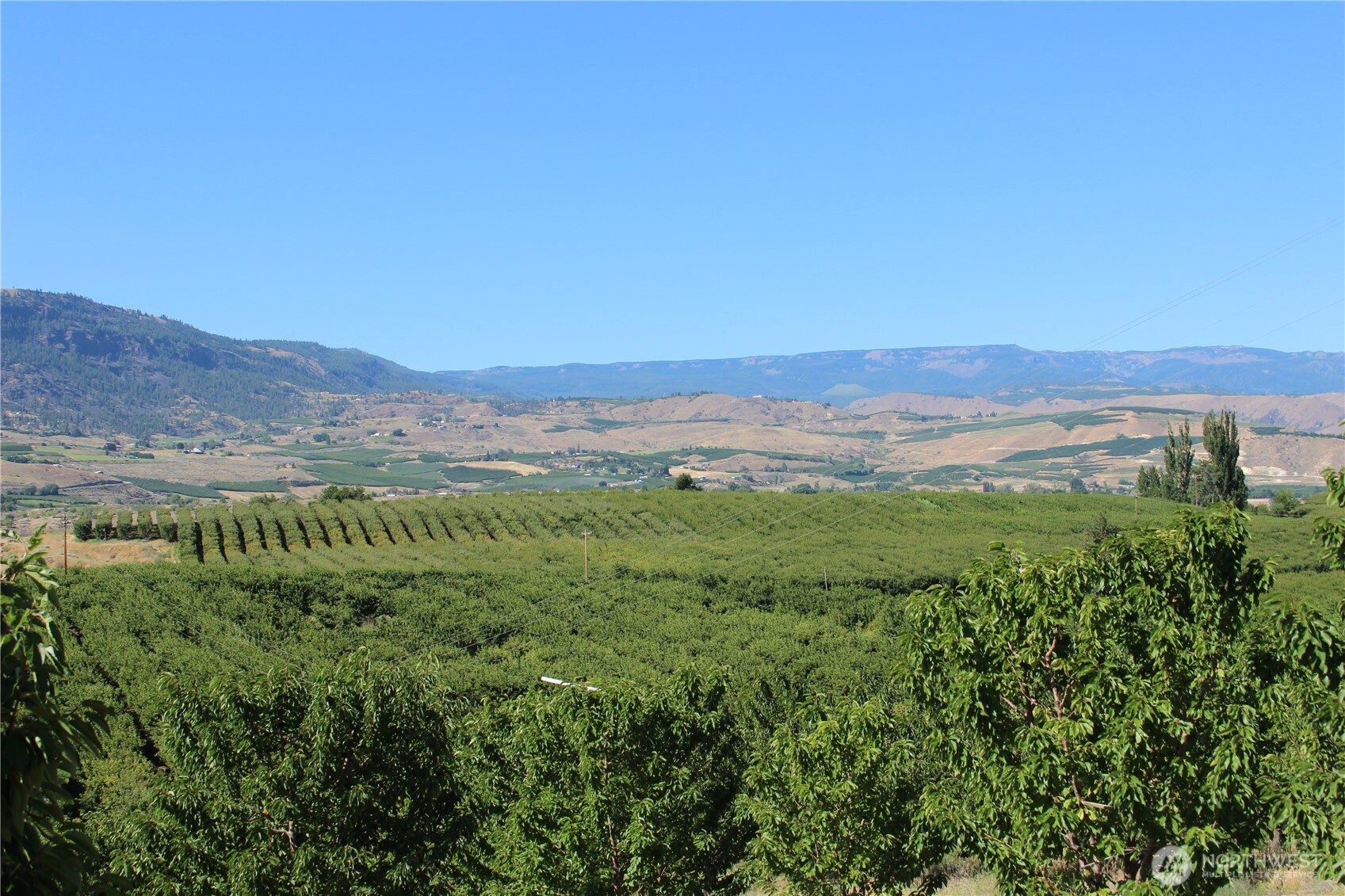 0 Leray Ranch Road Property Photo 20