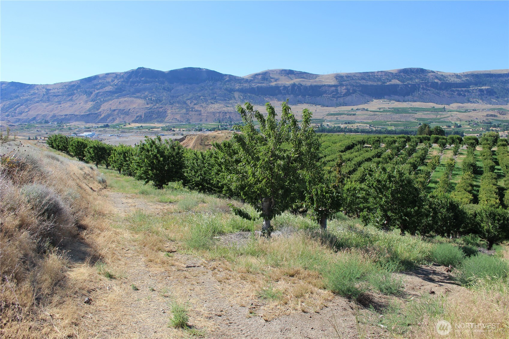 0 Leray Ranch Road Property Photo 21
