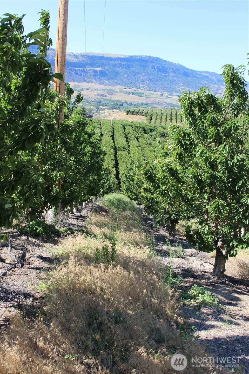 0 Leray Ranch Road Property Photo 22