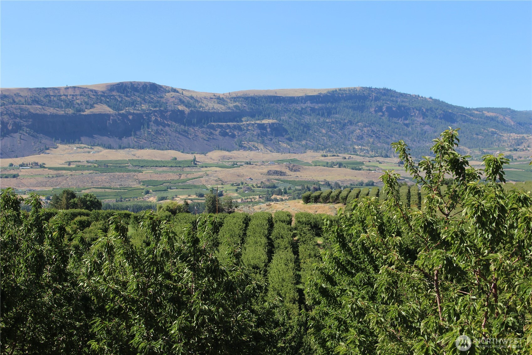 0 Leray Ranch Road Property Photo 28