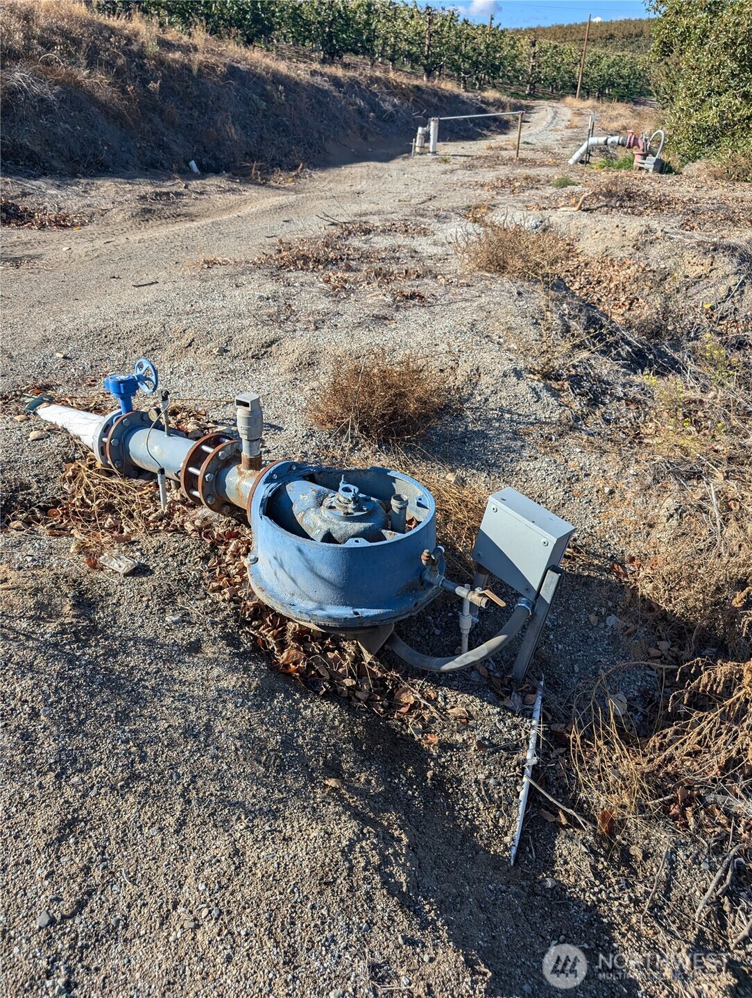 0 Leray Ranch Road Property Photo 29