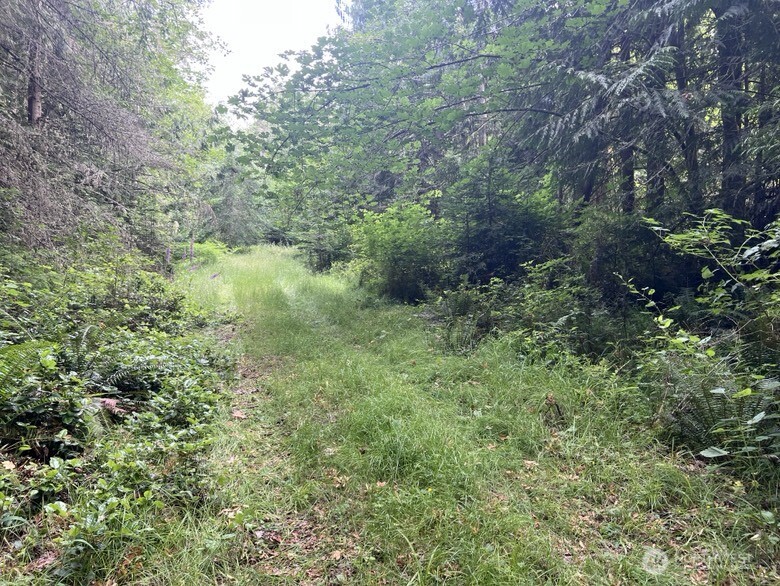 1078 Township Line Road Property Photo 5