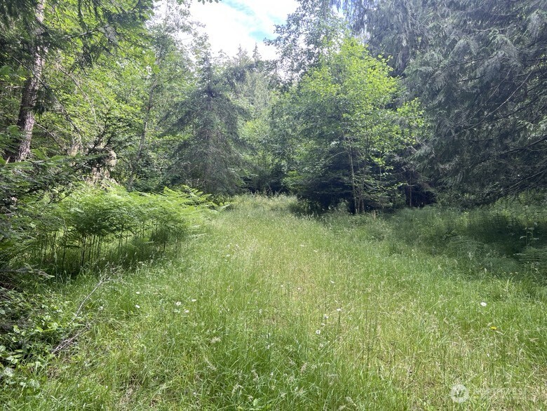 1078 Township Line Road Property Photo 7
