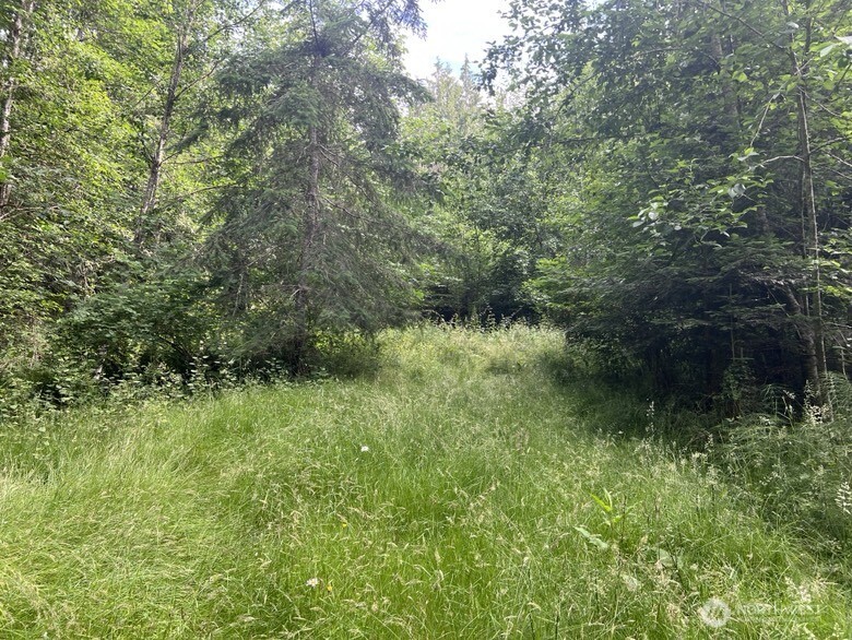 1078 Township Line Road Property Photo 10