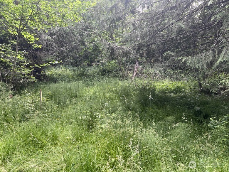 1078 Township Line Road Property Photo 11