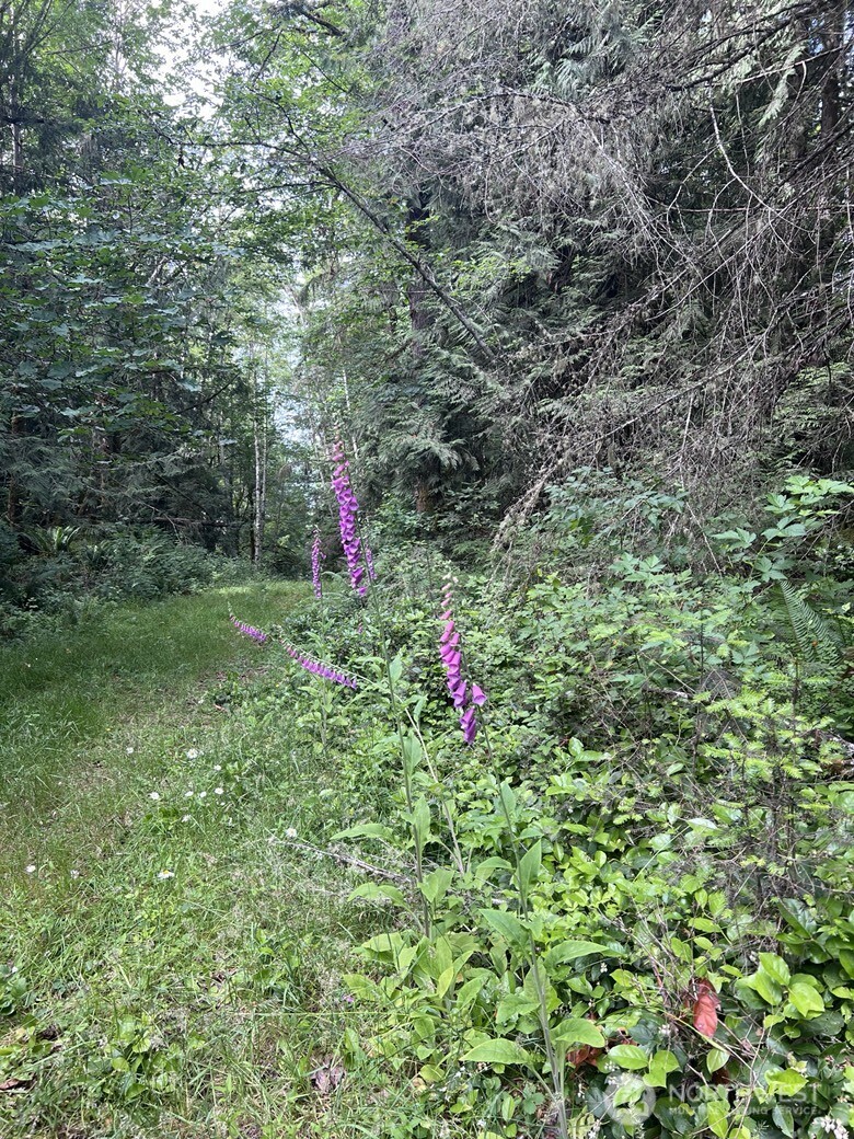 1078 Township Line Road Property Photo 12