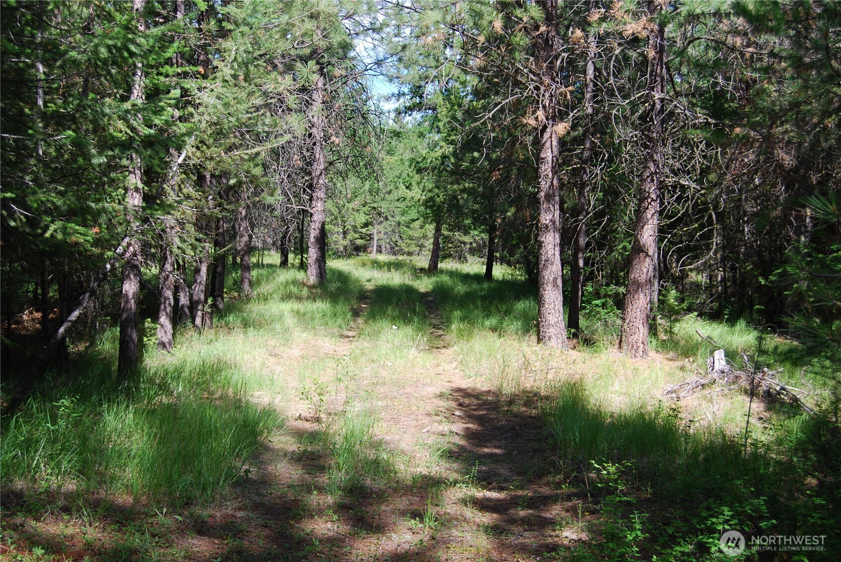 30 -23 Wild Turkey Property Photo 1