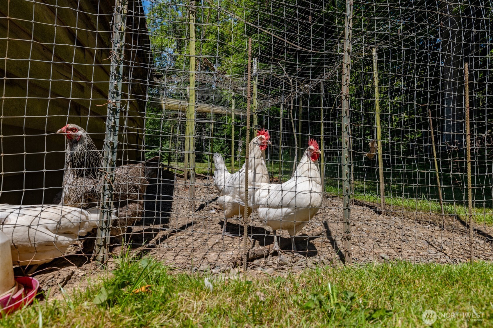 7203 Erna Lane Property Photo 17