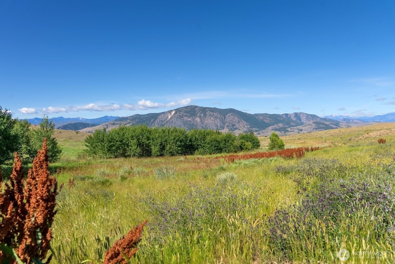 121 Finley Canyon Road Property Photo 1