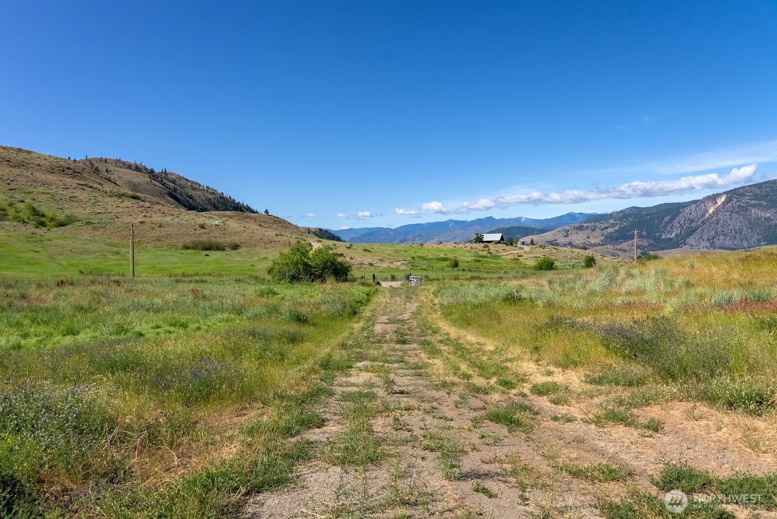 121 Finley Canyon Road Property Photo 4