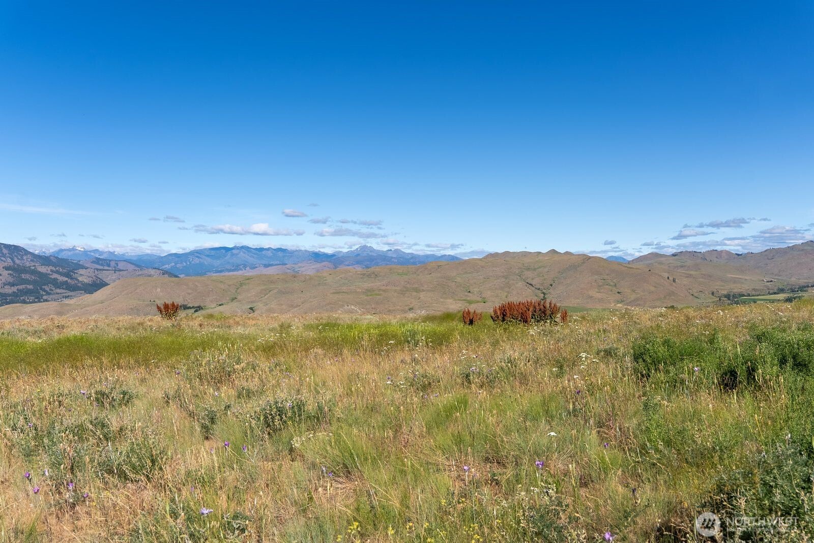 121 Finley Canyon Road Property Photo 7