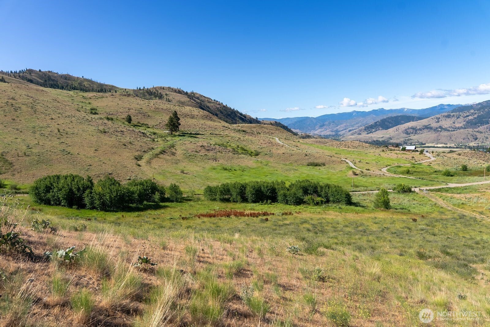 121 Finley Canyon Road Property Photo 11
