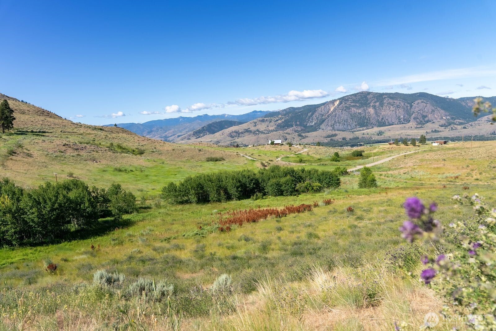 121 Finley Canyon Road Property Photo 12