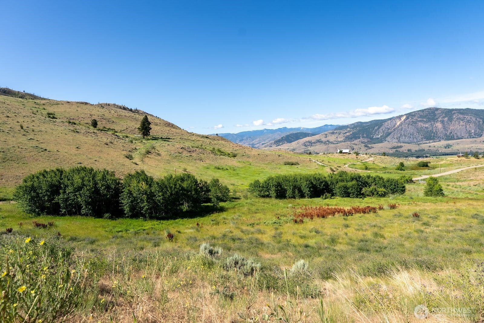 121 Finley Canyon Road Property Photo 13