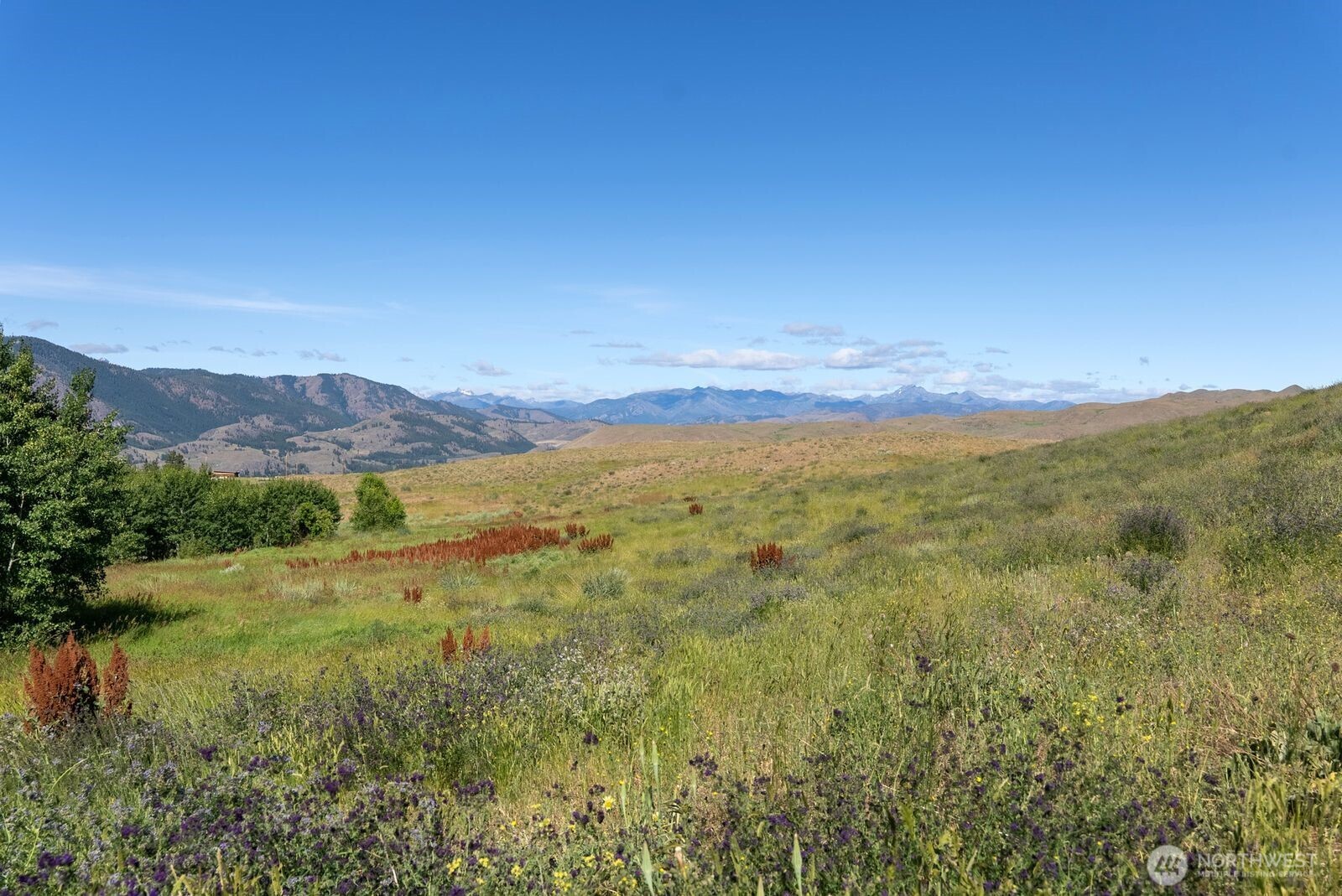 121 Finley Canyon Road Property Photo 15