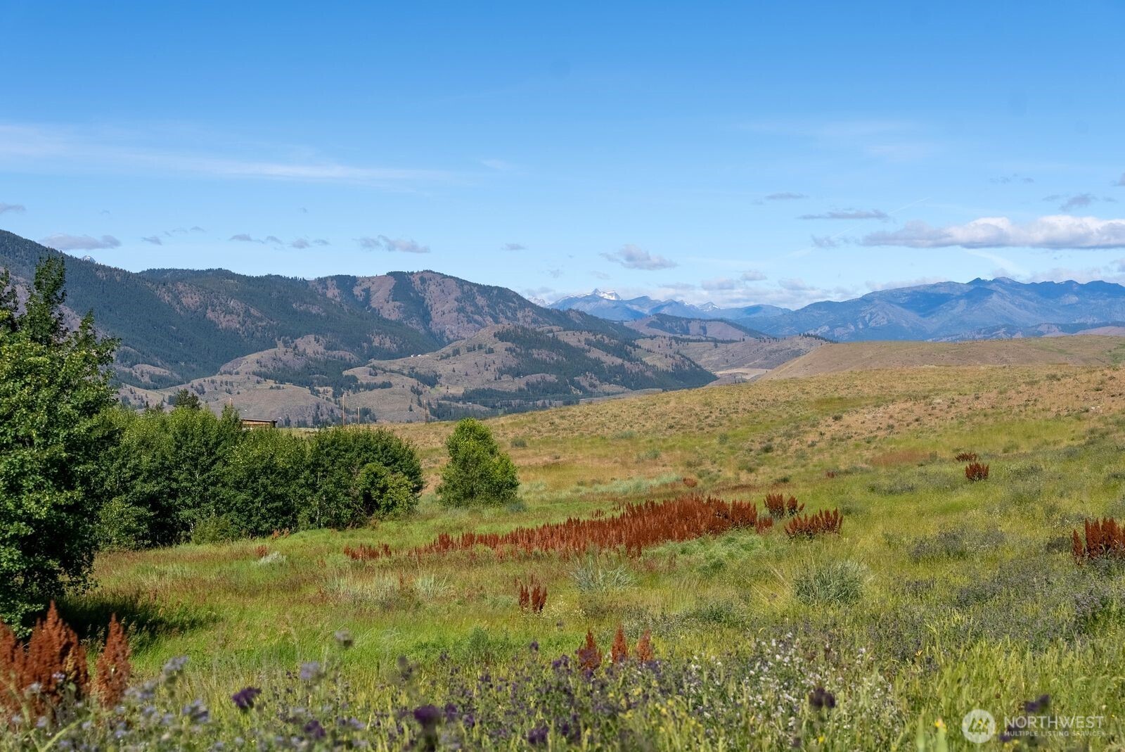 121 Finley Canyon Road Property Photo 16