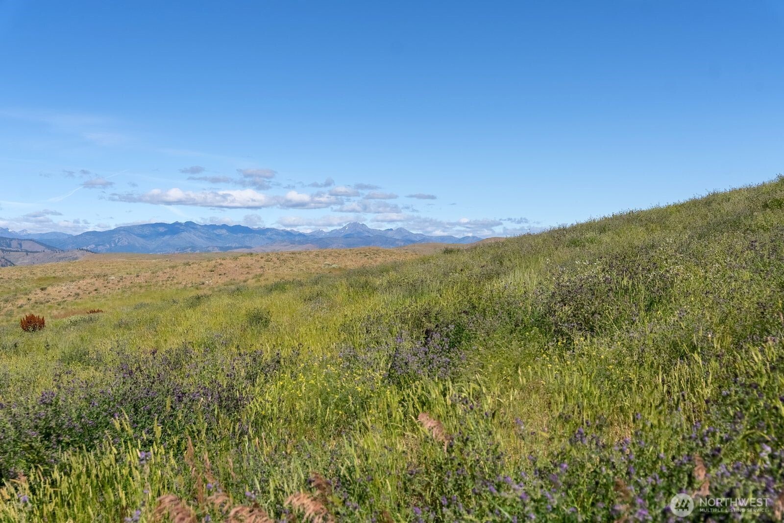 121 Finley Canyon Road Property Photo 17