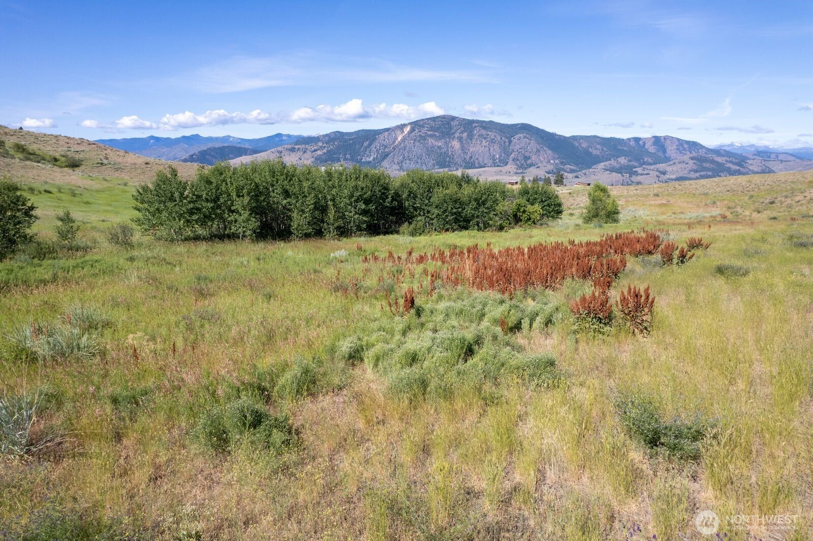 121 Finley Canyon Road Property Photo 26