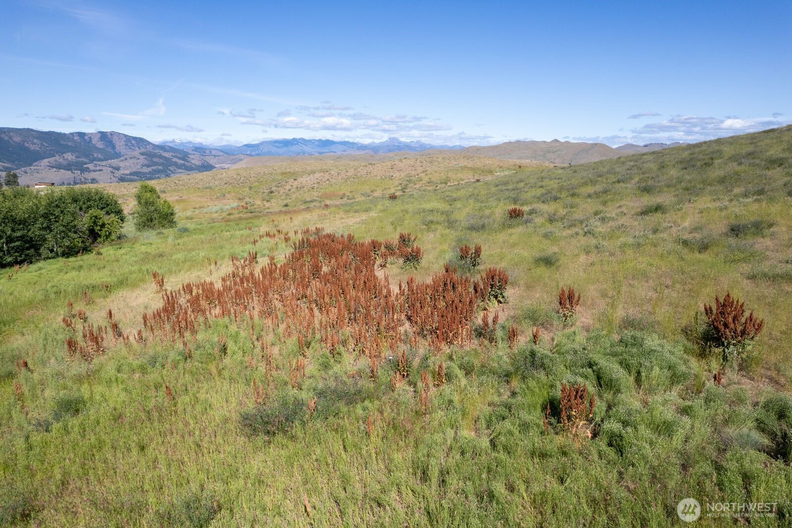 121 Finley Canyon Road Property Photo 28
