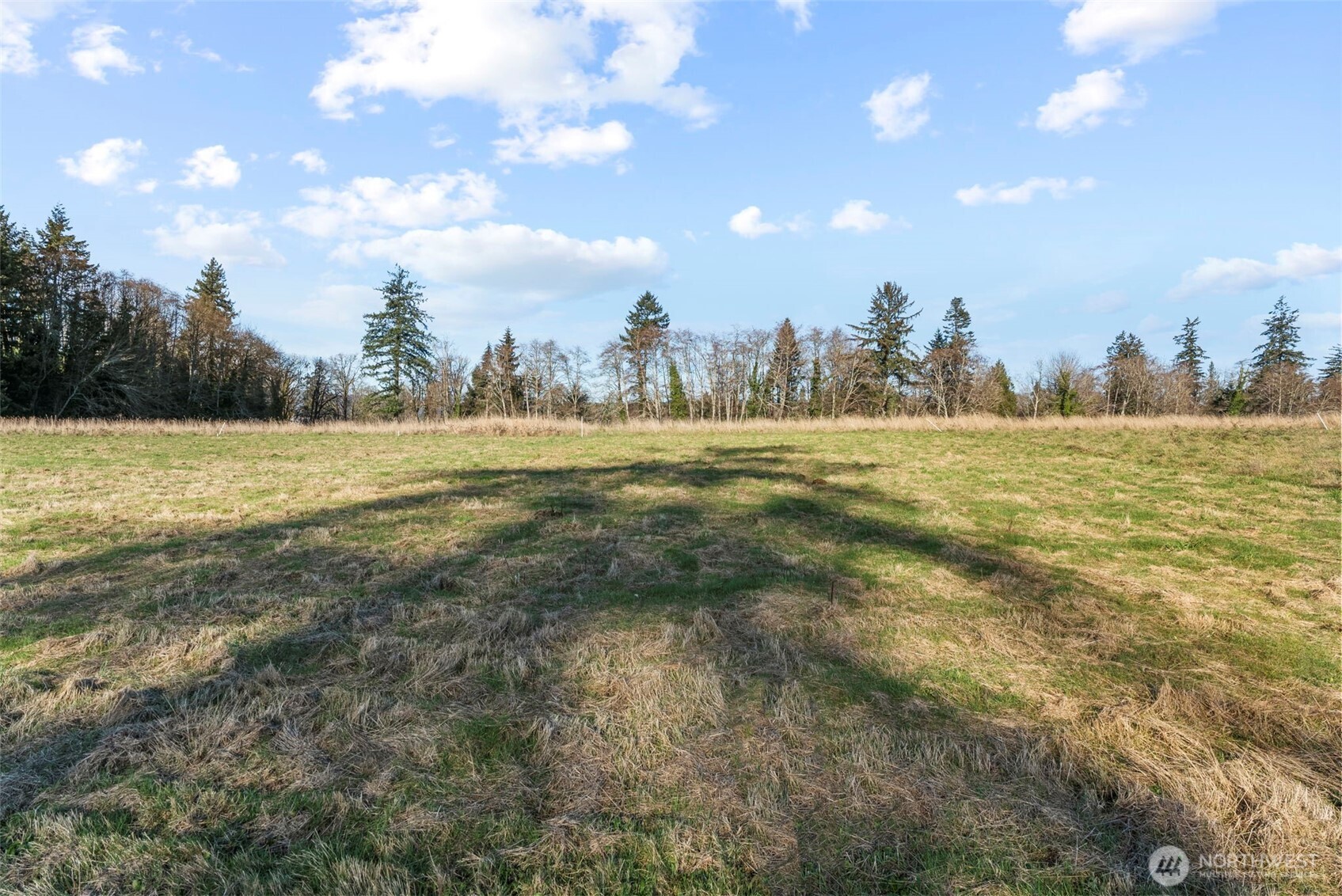 48 Sunnyfield Drive Lot4 Property Photo 3